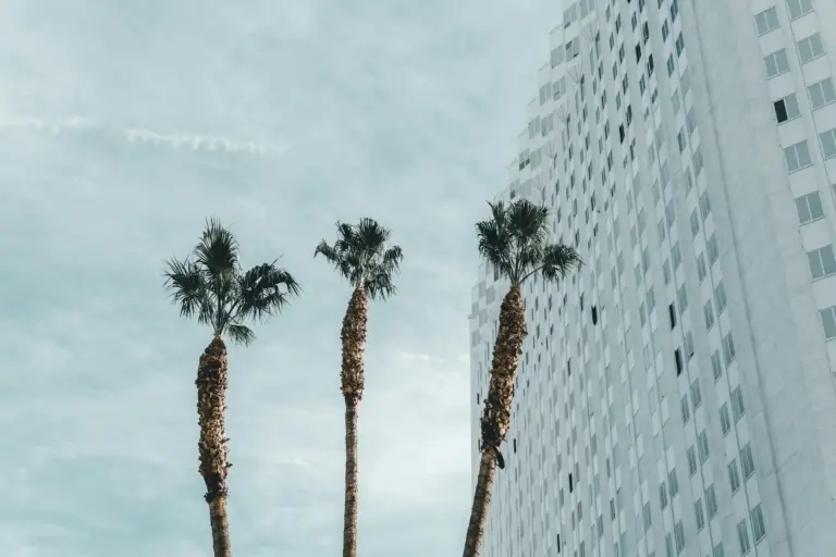 Tall palm trees beside modern high-rise building